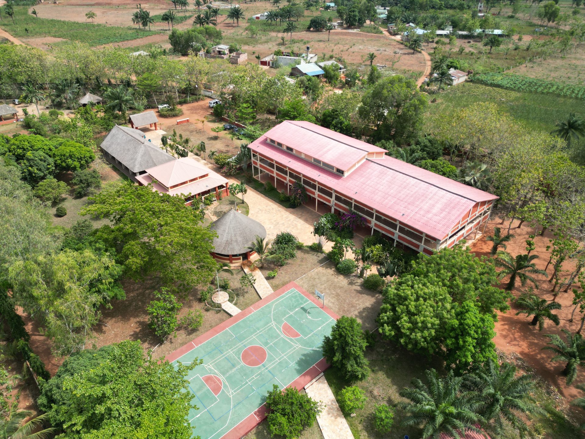Bird - dji fly 20240413 160122 581 1713463128850 photo 1